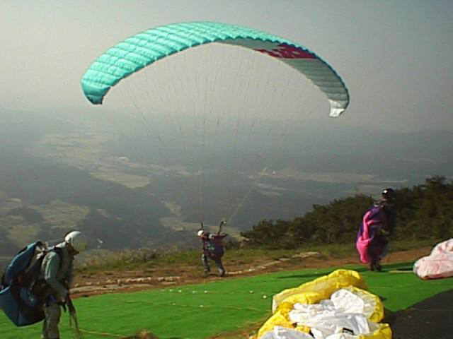 ���_�e�C�N�I�t�ʐ^