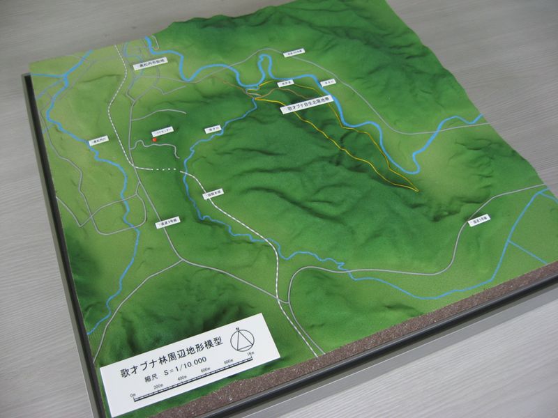 北海道 歌才ブナ林地形模型写真