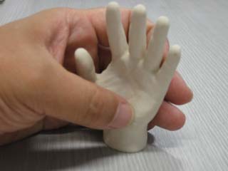 人体模型（３Dプリンター）製作事例写真（手）